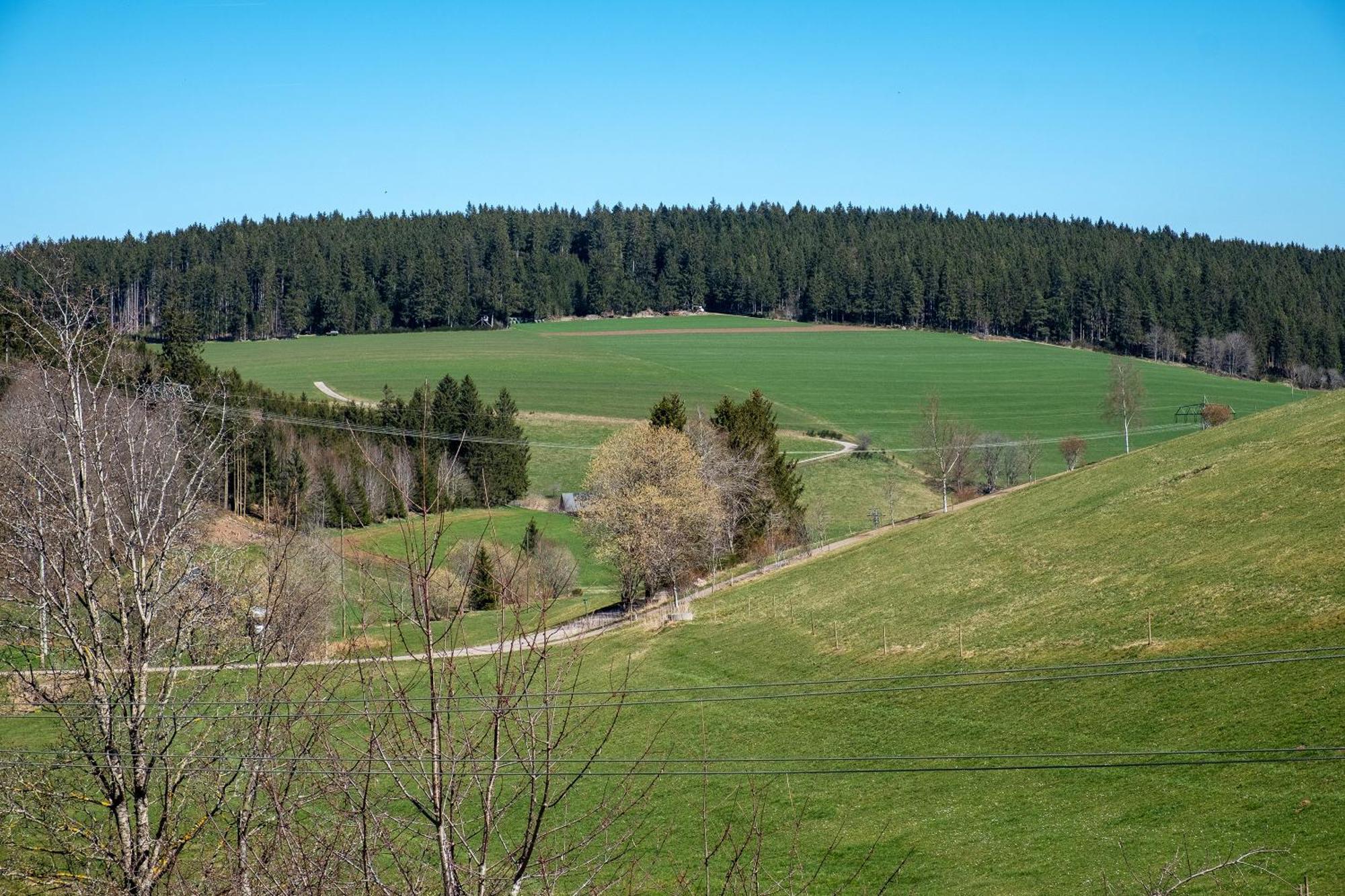 Ferienwohnung Armbruster Sankt Georgen im Schwarzwald Luaran gambar