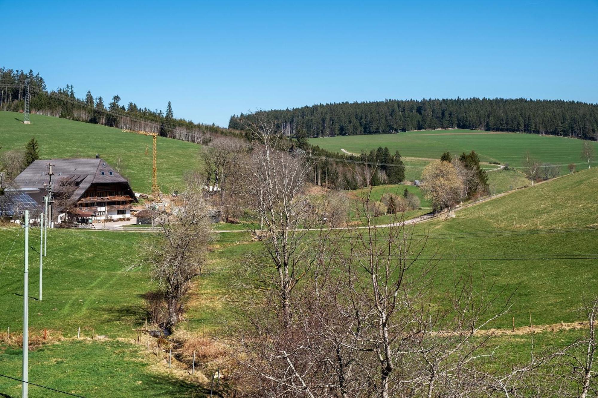 Ferienwohnung Armbruster Sankt Georgen im Schwarzwald Luaran gambar